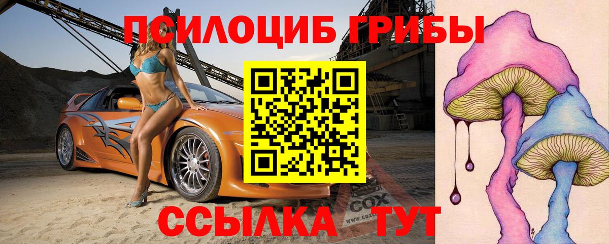 Муром  Псилоцибиновые грибы Magic Shrooms  Псилоцибиновые грибы Psilocybe  где можно купить наркотик  Вход с VPN 