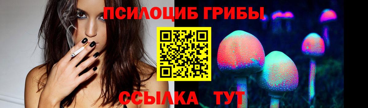 Псилоцибиновые грибы мухоморы Муром